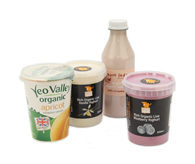 yogurt