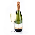 champagne & sparkling wine