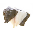 flat fish