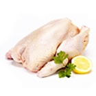free range chicken
