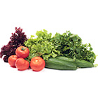 salad
