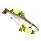trout
