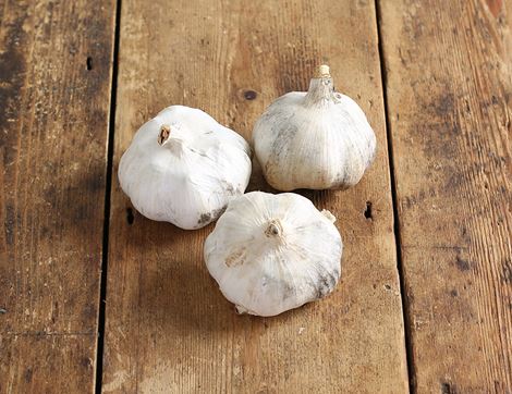 garlic organic 3 bulbs