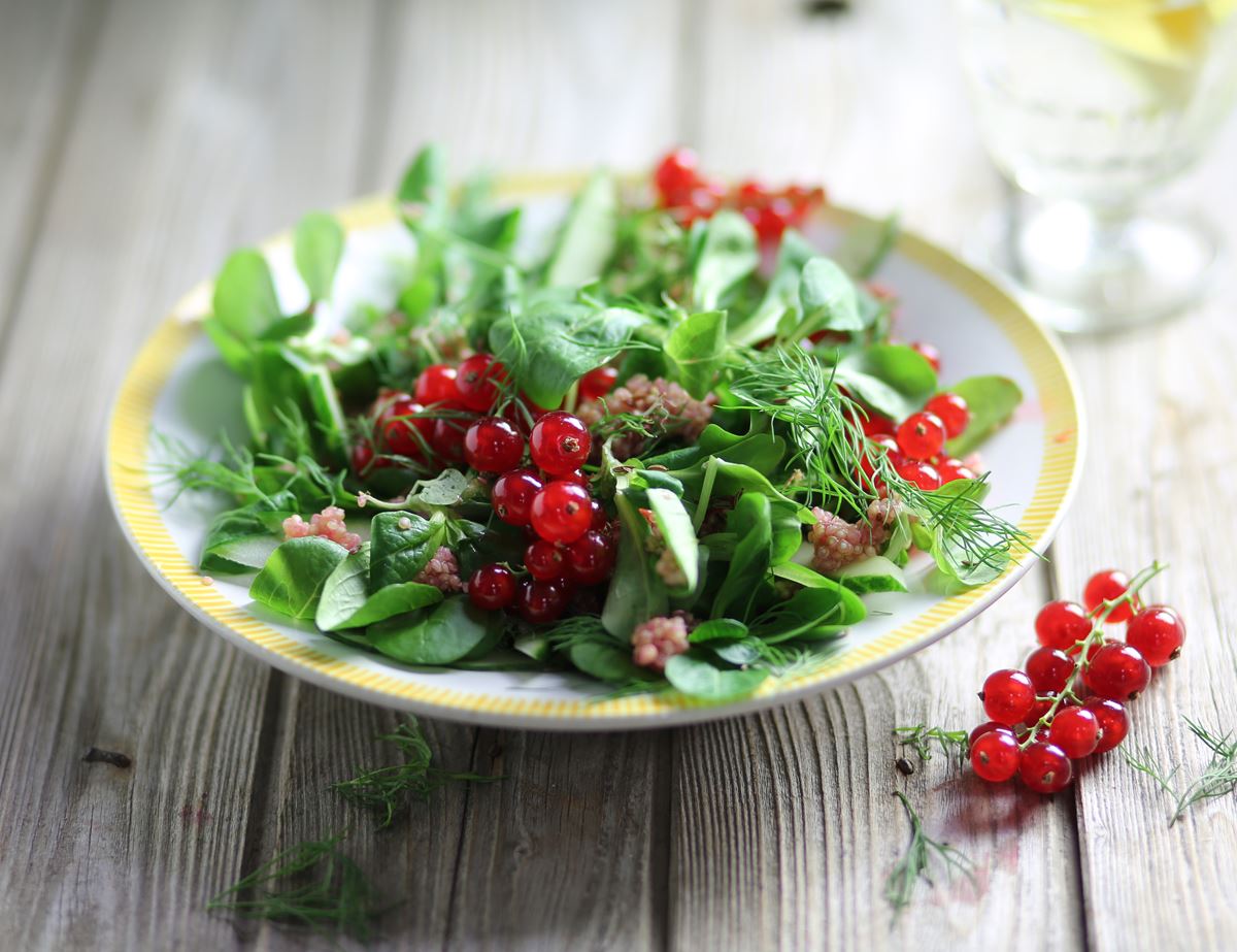 Swedish Popping Redcurrant Salad