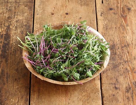 pink salad mix aconbury sprouts