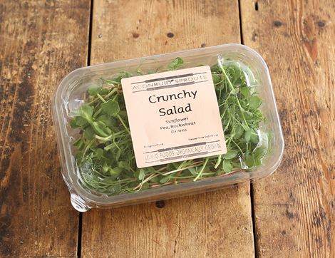 crunchy salad mix aconbury sprouts