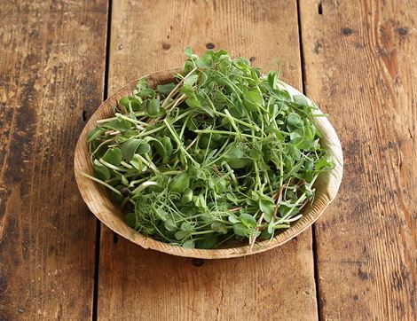 Crunchy Micro Salad Mix, Organic, Aconbury Sprouts (70g)