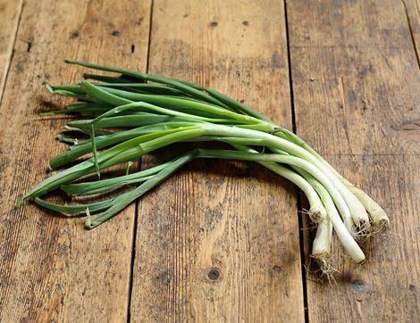 organic spring onions bunch