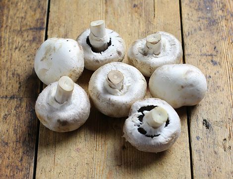 White Mushrooms, Organic (200g)