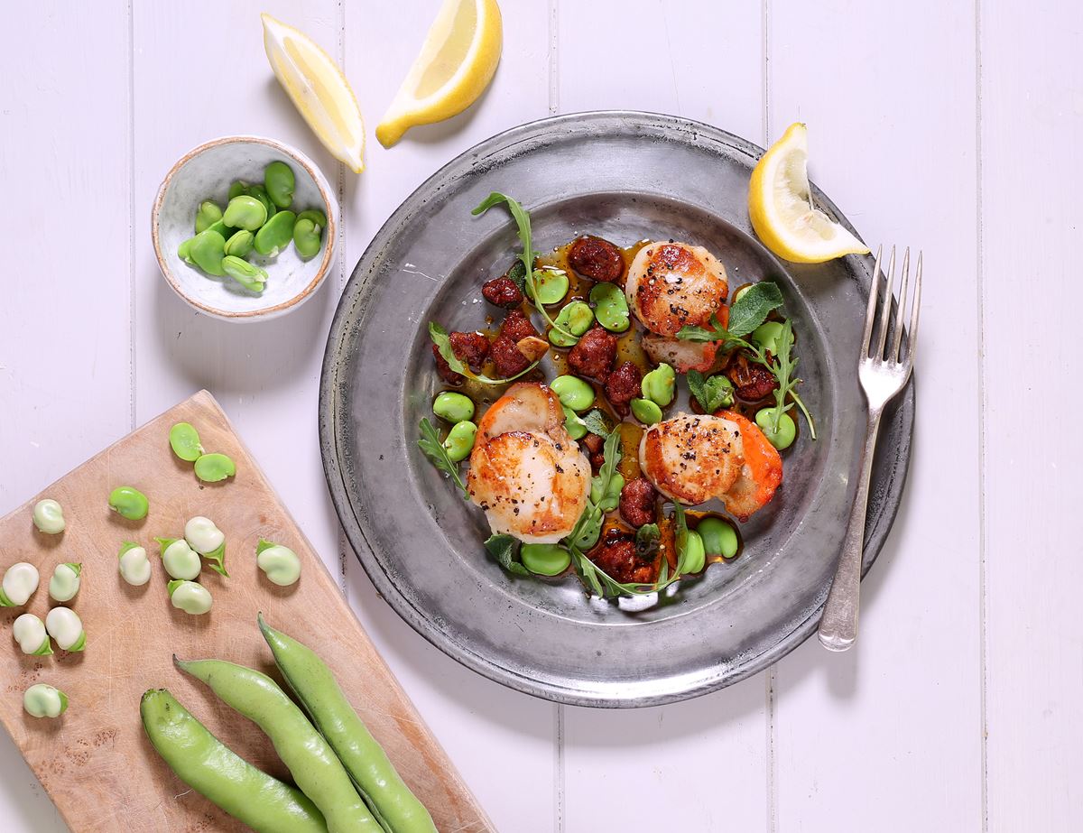 Golden Scallops with Chorizo, Broad Beans & Mint