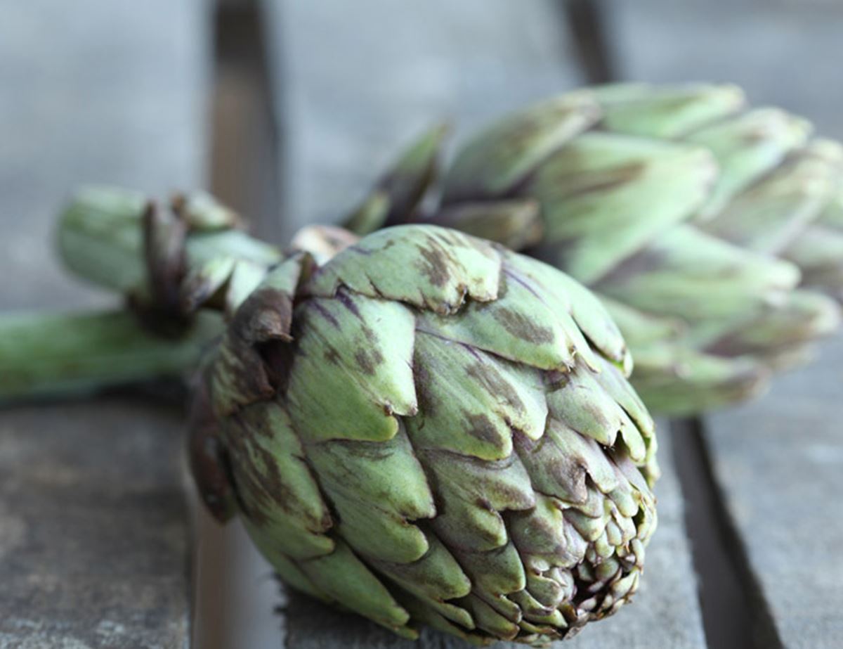 Steamy Globe Artichokes with Garlic Butter Recipe Abel & Cole