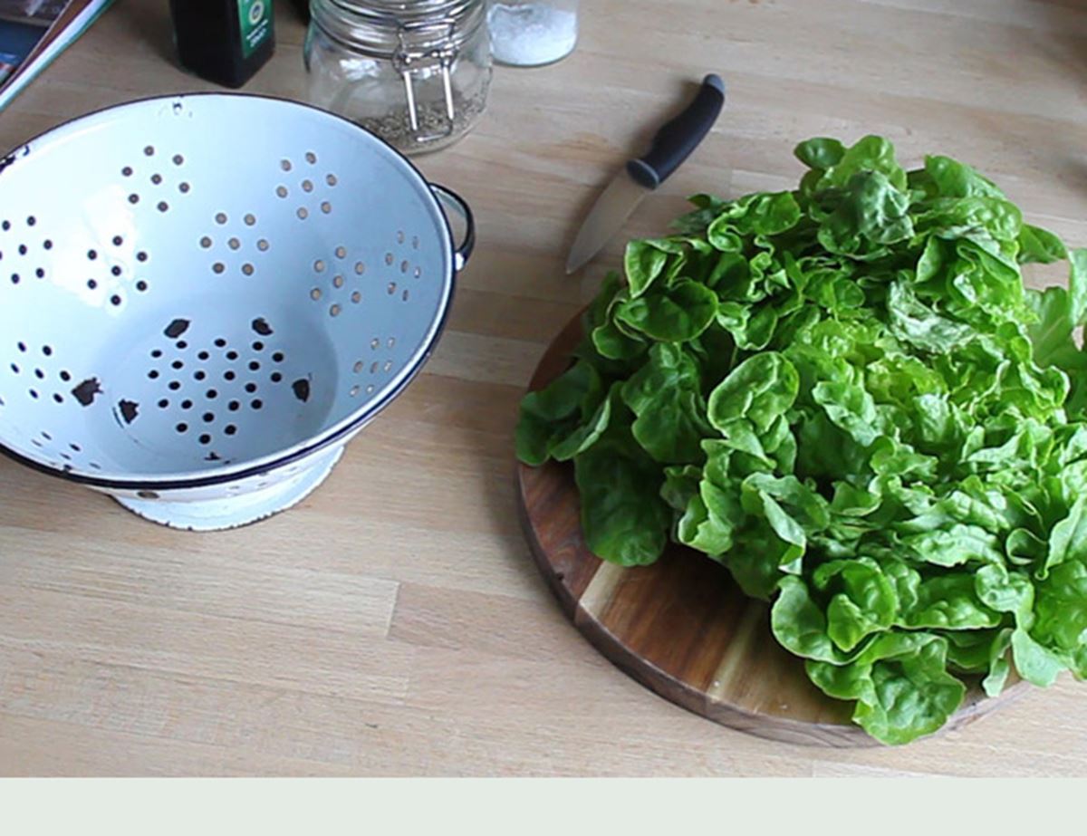Instant Bagged Lettuce Recipe Abel & Cole