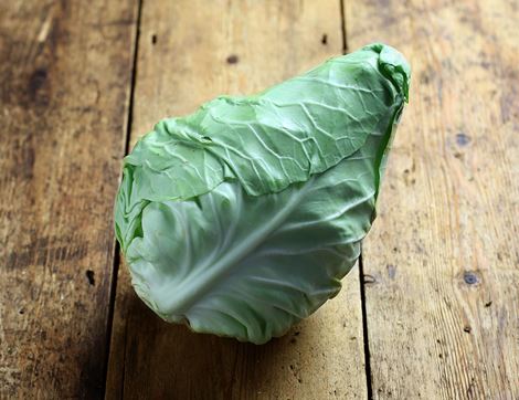 Green Pointed Cabbage, Organic