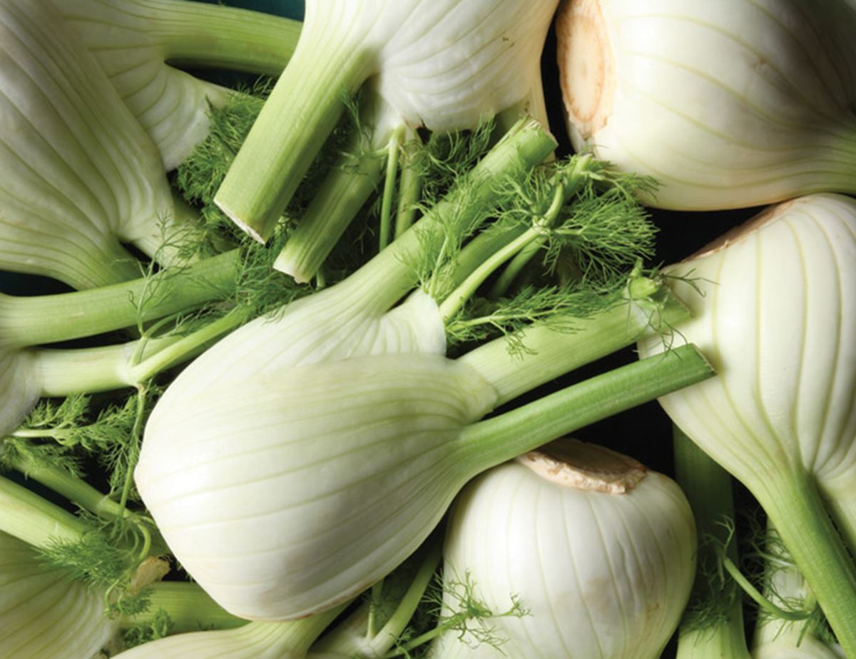 Fab Ways with Fennel Recipe Abel & Cole