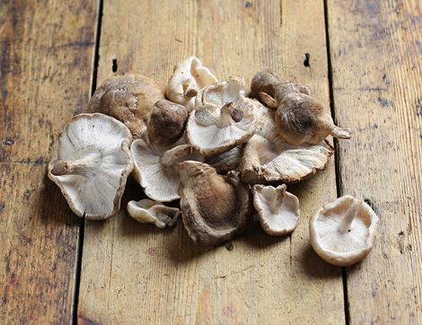 Shiitake Mushrooms, Organic (150g)