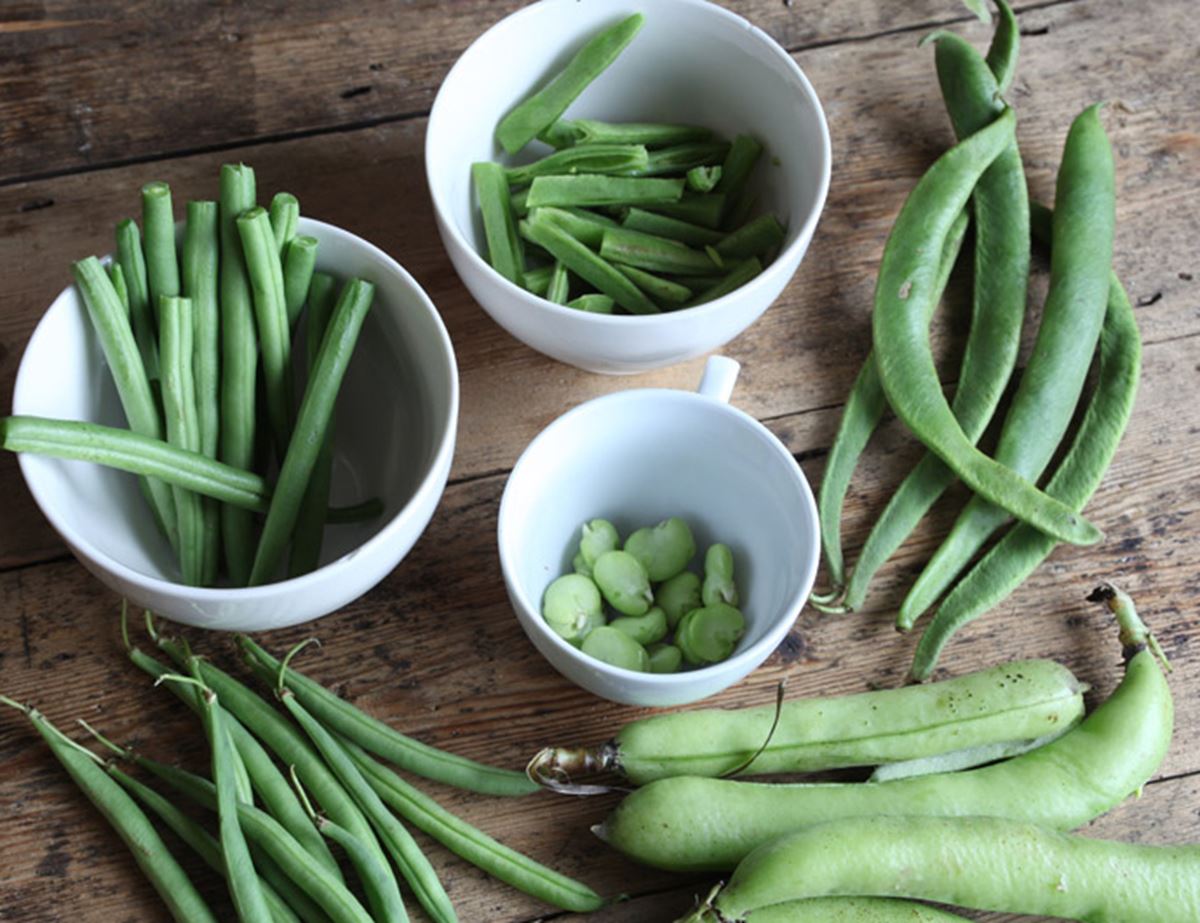 How To Prepare Beans Recipe Abel & Cole