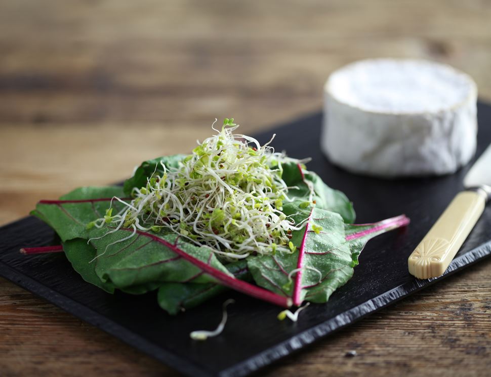 Sprouts, Broccoli, Organic (100g) Abel & Cole