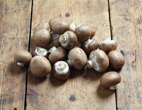 button chestnut mushrooms