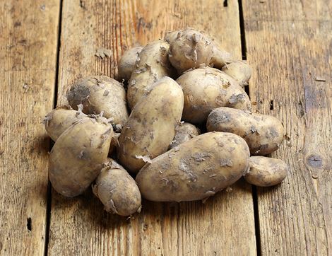 organic jersey royal potatoes