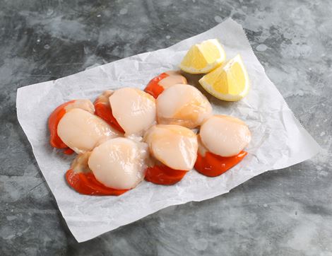 limited edition hand dived scallops abel & cole