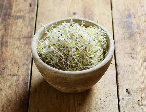 Sprouts, Alfalfa, Organic (100g)