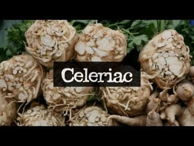 Celeriac youtube thumbnail
