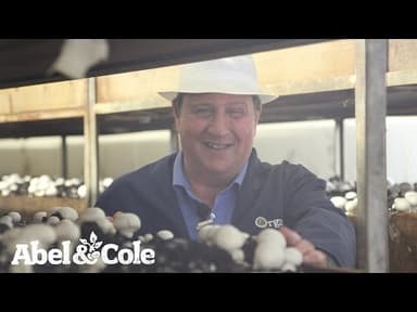 Chestnut Mushrooms youtube thumbnail