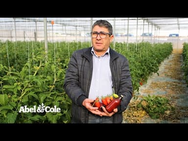 Cherry Tomato Passata youtube thumbnail