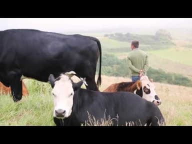 Minute Steaks (400g, pack of 4) youtube thumbnail