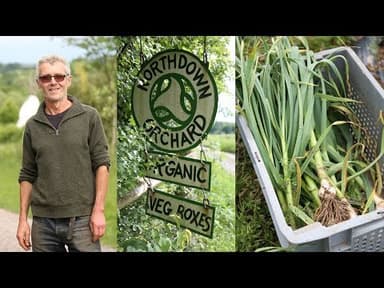 Green Garlic Bunch youtube thumbnail