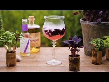 Basil Plant Collection, Organic youtube thumbnail