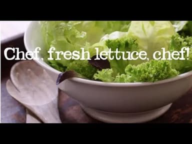 Red Lettuce youtube thumbnail