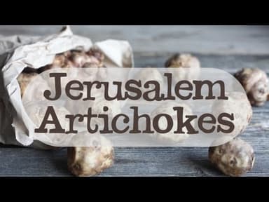 Jerusalem Artichokes youtube thumbnail