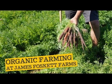 English Salsify youtube thumbnail
