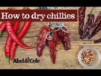 Mixed Chillies youtube thumbnail