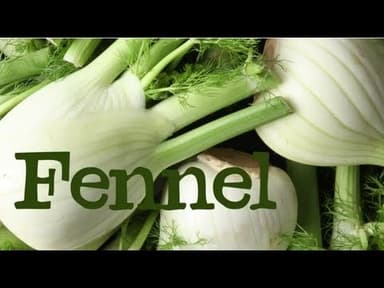 Fennel youtube thumbnail