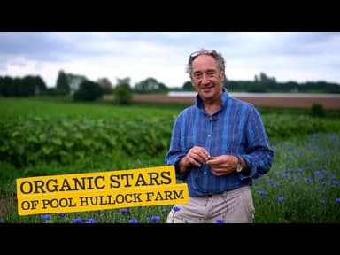 English Cherry Vine Tomatoes youtube thumbnail