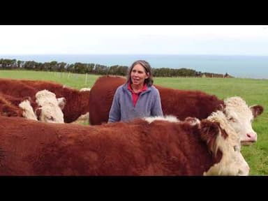 Biodynamic Eggs youtube thumbnail