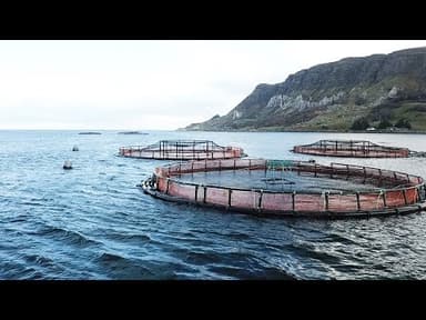 Smoked Salmon youtube thumbnail