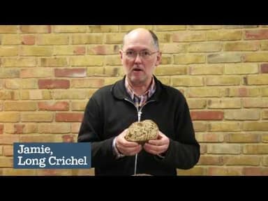 Malted 5 Seed Sourdough Bread youtube thumbnail