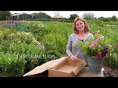 British Spring Flowers youtube thumbnail
