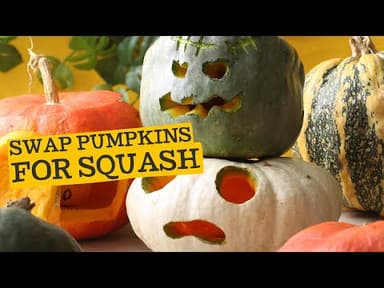 Large Speciality Squash youtube thumbnail