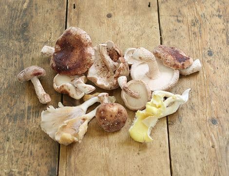 Mixed Gourmet Mushrooms