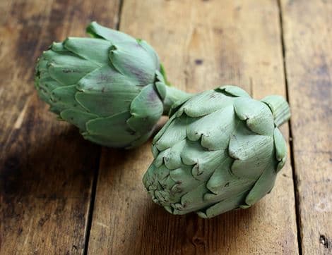 Globe Artichokes