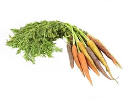 image of Bunched Rainbow Carrots