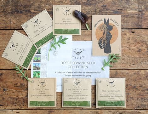 Veg Seed Selection Gift