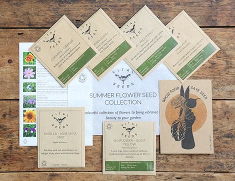 Flower Seed Selection Gift