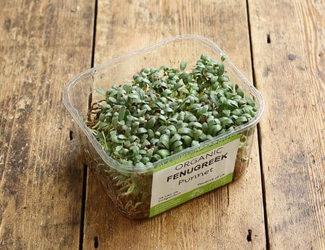 Micro Fenugreek Greens
