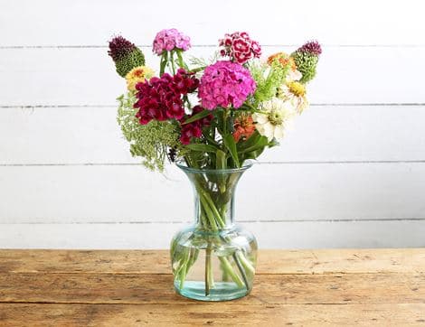 British Summer Flowers