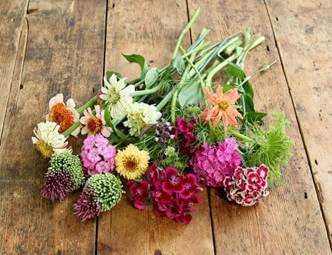 British Summer Flowers image thumbnail